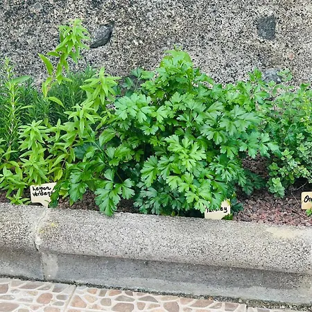 Apartment Agrotur Fenix