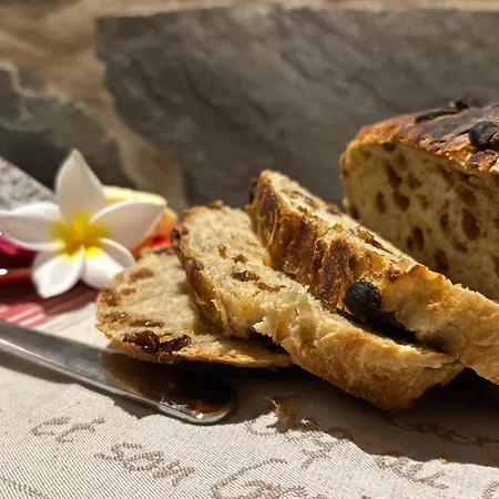 Apartment Agrotur Fenix *