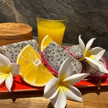 Agrotur Fenix Apartment